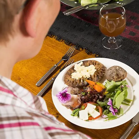 Majatalo Pihlajapuu 게스트하우스 *